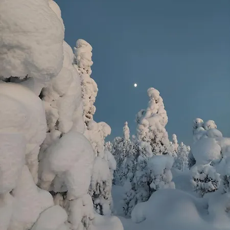 Aurora Ounasvaara By Booklapland Сasa de vacaciones *